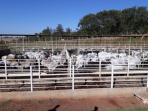 Foto galeria da empresa