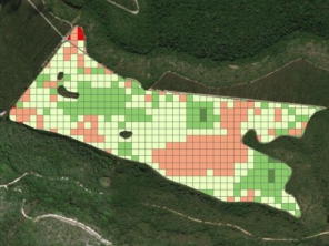 #agriculturadeprecisão #agricultura #mapeamentoaereo #mapasinterpolados #tomadadedecisão #drone #geoprocessamentoaplicado #spectrumagroflorestal
