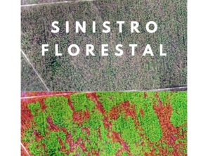 Sinistro Florestal: Quantificação de zonas atingidas por intempéries. No caso da foto, identificamos áreas danificadas por vendaval na região sul da Bahia.