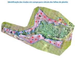 Monitoramos áreas em processo de restauração florestal para diagnóstico e acompanhamento dos processos através de indicadores de desempenho como:  Monitoramento de clareiras Cobertura do solo por copas Estratificação da altura de dossel Índice de falhas no plantio  E muito mais....