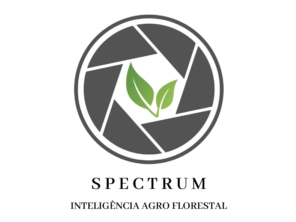 Buscamos ser a melhor opção em monitoramento remoto de áreas florestais, agregando valor e competitividade ao negócio de nossos clientes.