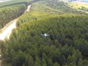 Foto de Spectrum Inteligência Agro Florestal em Botucatu, SP por Solutudo