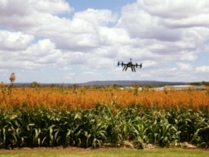 Foto de Spectrum Inteligência Agro Florestal em Botucatu, SP por Solutudo