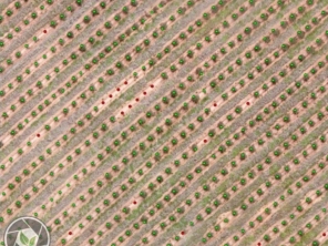 Foto de Spectrum Inteligência Agro Florestal em Botucatu, SP por Solutudo
