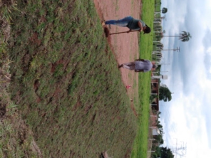 Foto de Gramas & Cia em Rio Claro, SP por Solutudo