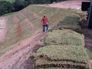 Foto de Gramas & Cia em Rio Claro, SP por Solutudo