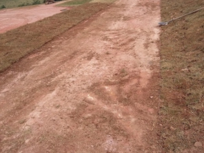 Foto de Gramas & Cia em Rio Claro, SP por Solutudo