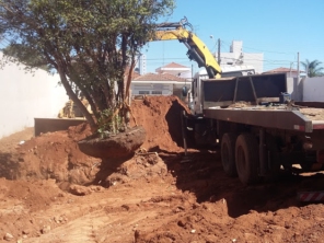 Foto de Gramas & Cia em Rio Claro, SP por Solutudo