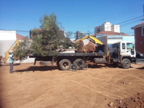 Foto de Gramas & Cia em Rio Claro, SP por Solutudo
