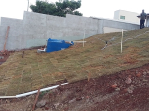 Foto de Gramas & Cia em Rio Claro, SP por Solutudo