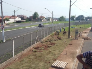 Foto de Gramas & Cia em Rio Claro, SP por Solutudo