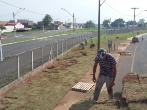 Foto de Gramas & Cia em Rio Claro, SP por Solutudo