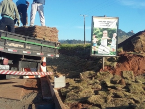 Foto de Gramas & Cia em Rio Claro, SP por Solutudo