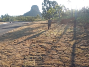 Foto de Gramas & Cia em Rio Claro, SP por Solutudo