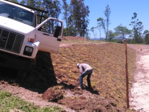 Foto de Gramas & Cia em Rio Claro, SP por Solutudo