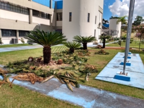 Foto de Gramas & Cia em Rio Claro, SP por Solutudo