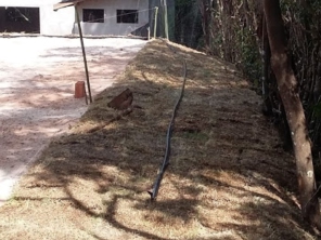Foto de Gramas & Cia em Rio Claro, SP por Solutudo