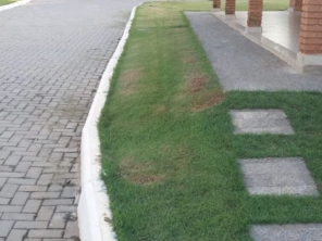 Foto de Gramas & Cia em Rio Claro, SP por Solutudo