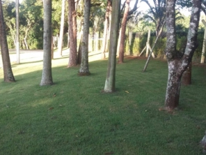 Foto de Gramas & Cia em Rio Claro, SP por Solutudo