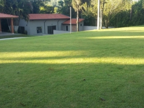 Foto de Gramas & Cia em Rio Claro, SP por Solutudo