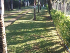 Foto de Gramas & Cia em Rio Claro, SP por Solutudo