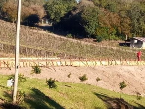 Foto de Construscur Construtora em Flores da Cunha, RS por Solutudo