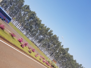 Foto de P A Pavanello em Pederneiras, SP por Solutudo