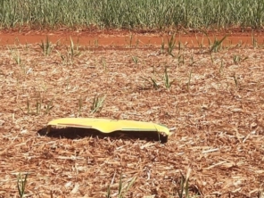 Foto de Exata & Topsolar em Itumbiara, GO por Solutudo