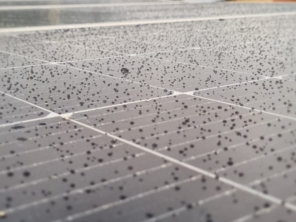 Foto de Fênix Connect Energia Solar em Belo Horizonte, MG por Solutudo
