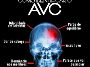 Foto de Clinica Ala Fisio em Humaitá, AM por Solutudo