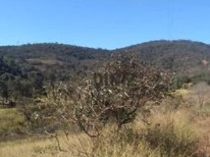 Foto de Diniz Silveira Imoveis em Belo Horizonte, MG por Solutudo