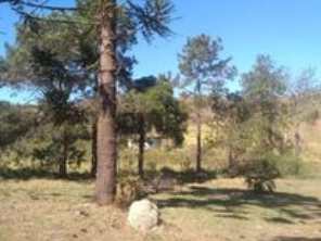 Foto de Diniz Silveira Imoveis em Belo Horizonte, MG por Solutudo