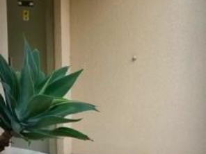 Foto de Diniz Silveira Imoveis em Belo Horizonte, MG por Solutudo