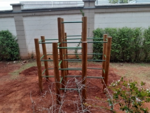 Foto de AlphaPark Playground em São Paulo, SP por Solutudo