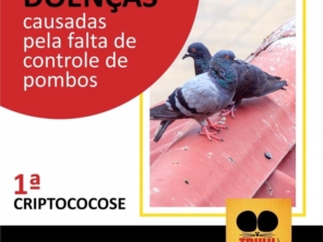 Foto de Truly Nolen Ourinhos em Ourinhos, SP por Solutudo