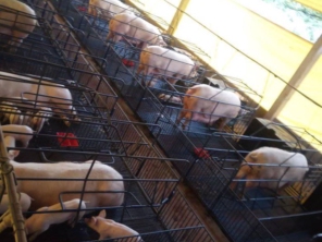 Foto galeria da empresa