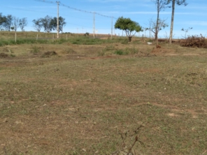 Foto de BM Prestadora de Serviços em Umuarama, PR por Solutudo
