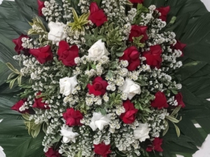 Foto de Funerária Bom Jesus em Planaltina de Goiás, GO por Solutudo