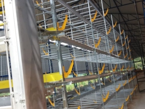 Foto de Goldner Gonoring - Montagem e Manutenção de Granjas Automáticas em Farroupilha, RS por Solutudo