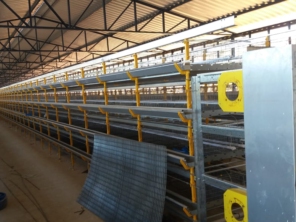 Foto de Goldner Gonoring - Montagem e Manutenção de Granjas Automáticas em Farroupilha, RS por Solutudo