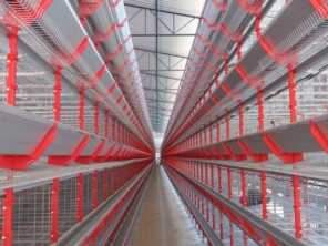 Foto de Goldner Gonoring - Montagem e Manutenção de Granjas Automáticas em Farroupilha, RS por Solutudo