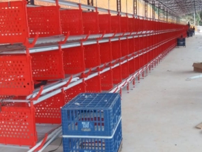 Foto de Goldner Gonoring - Montagem e Manutenção de Granjas Automáticas em Farroupilha, RS por Solutudo