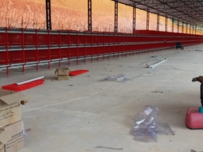 Foto de Goldner Gonoring - Montagem e Manutenção de Granjas Automáticas em Farroupilha, RS por Solutudo