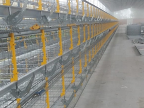 Foto de Goldner Gonoring - Montagem e Manutenção de Granjas Automáticas em Farroupilha, RS por Solutudo