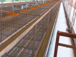Foto de Goldner Gonoring - Montagem e Manutenção de Granjas Automáticas em Farroupilha, RS por Solutudo