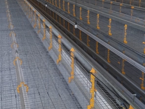 Foto de Goldner Gonoring - Montagem e Manutenção de Granjas Automáticas em Farroupilha, RS por Solutudo