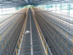 Foto de Goldner Gonoring - Montagem e Manutenção de Granjas Automáticas em Farroupilha, RS por Solutudo