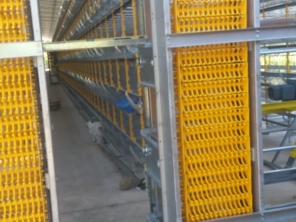 Foto de Goldner Gonoring - Montagem e Manutenção de Granjas Automáticas em Farroupilha, RS por Solutudo