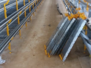 Foto de Goldner Gonoring - Montagem e Manutenção de Granjas Automáticas em Farroupilha, RS por Solutudo