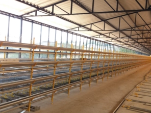 Foto de Goldner Gonoring - Montagem e Manutenção de Granjas Automáticas em Farroupilha, RS por Solutudo
